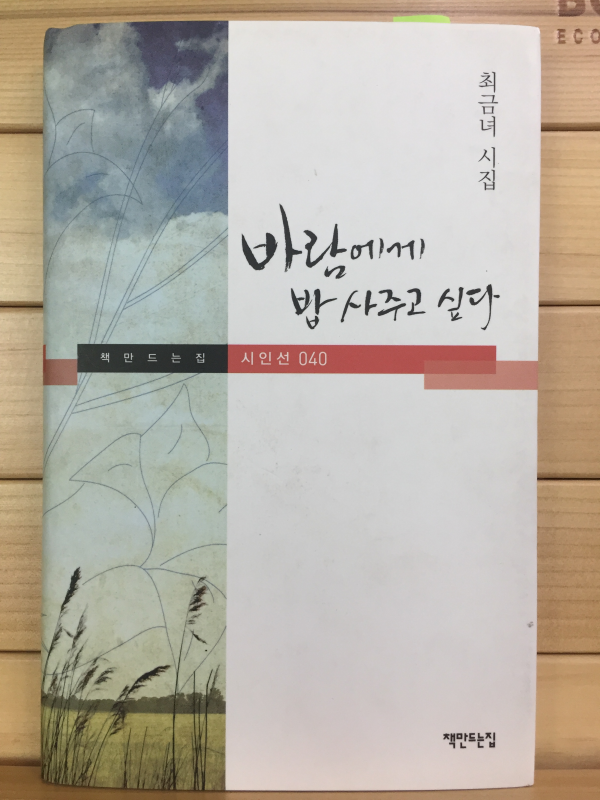 바람에게 밥 사주고 싶다 (최금녀시집,초판,저자서명본)