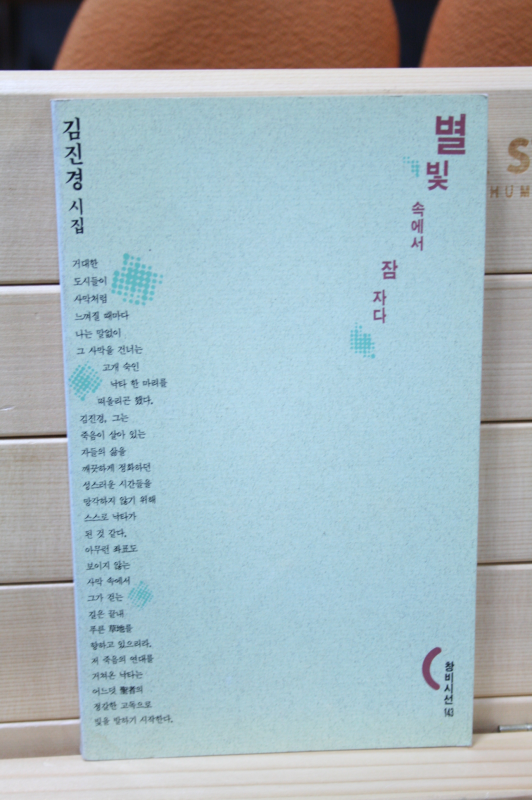 별빛 속에서 잠자다 (김진경시집,초판)