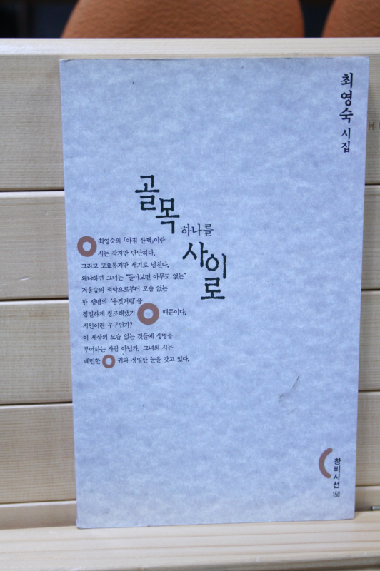 골목 하나를 사이로 (최영숙시집,초판)