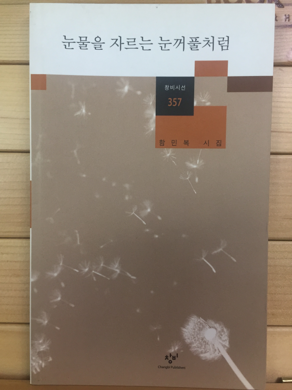 눈물을 자르는 눈꺼풀처럼 (함민복시집,초판)