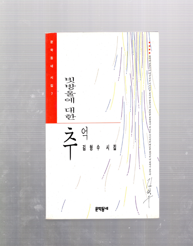 빗방울에 대한 추억 (김형수시집,초판)