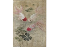 [98] 고급 액자에 담긴, [금붕어]