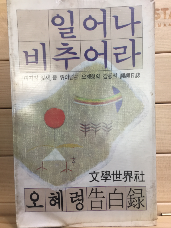 일어나 비추어라 (오혜령고백록)