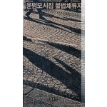 불법체류자 (윤범모시집,초판)