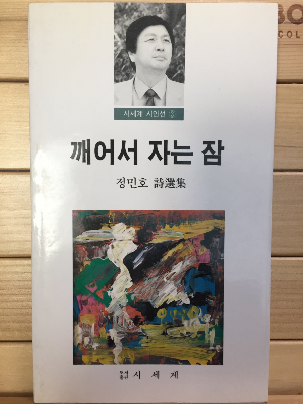깨어서 자는 잠 (정민호시선집,초판)