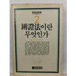 변증법이란 무엇인가(황세연 편역, 1990)