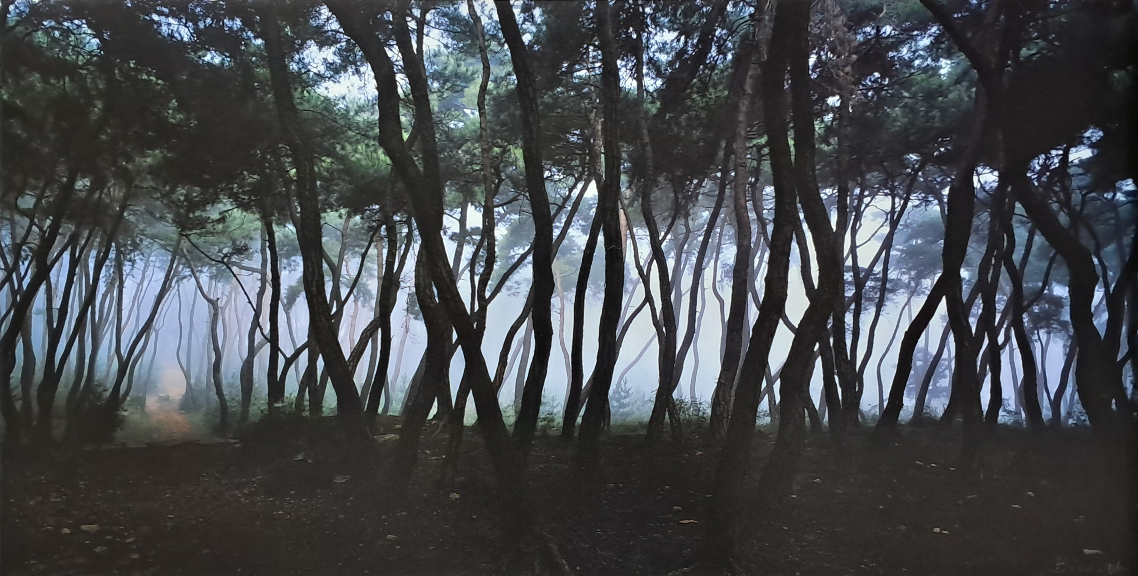 [153] 배병우