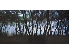 [153] 배병우