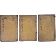 [167] 임진자본 [경서정문 經書正文] 3책