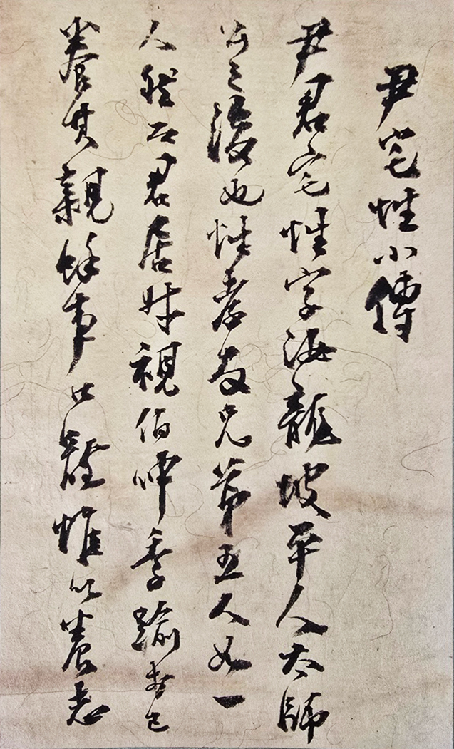 [176] 대원군(大院君) 친필첩, [윤택성 소전 尹宅性小傳]