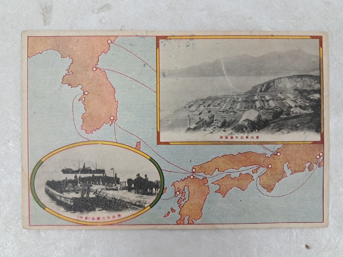 [부산이출우검역소 釜山移出牛檢疫所 관련] 엽서