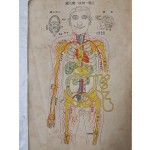 최신통속 위생대감 最新通俗 衛生大鑑