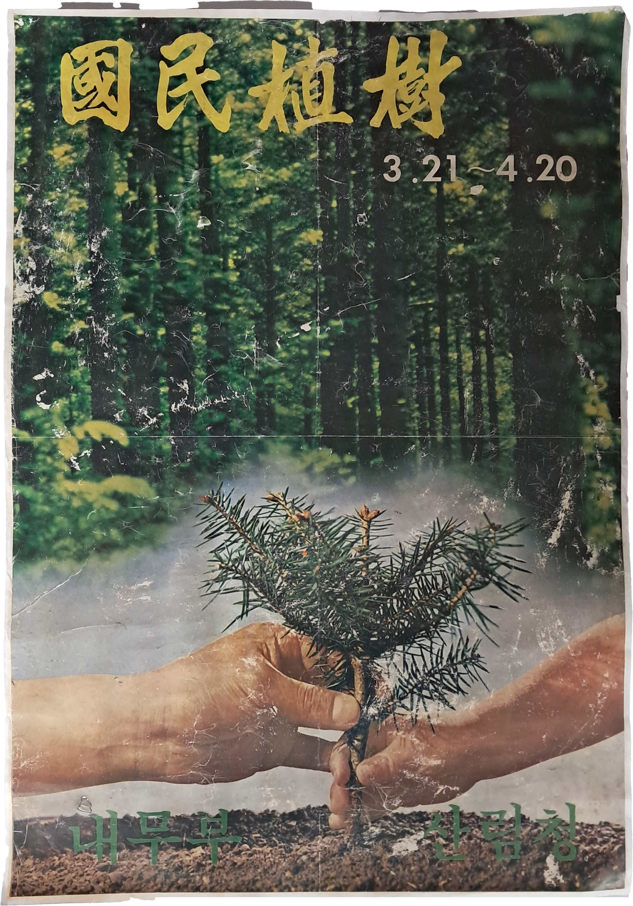 [국민식수 國民植樹] 포스터