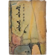 천관우 단평집 [썰물 밀물]