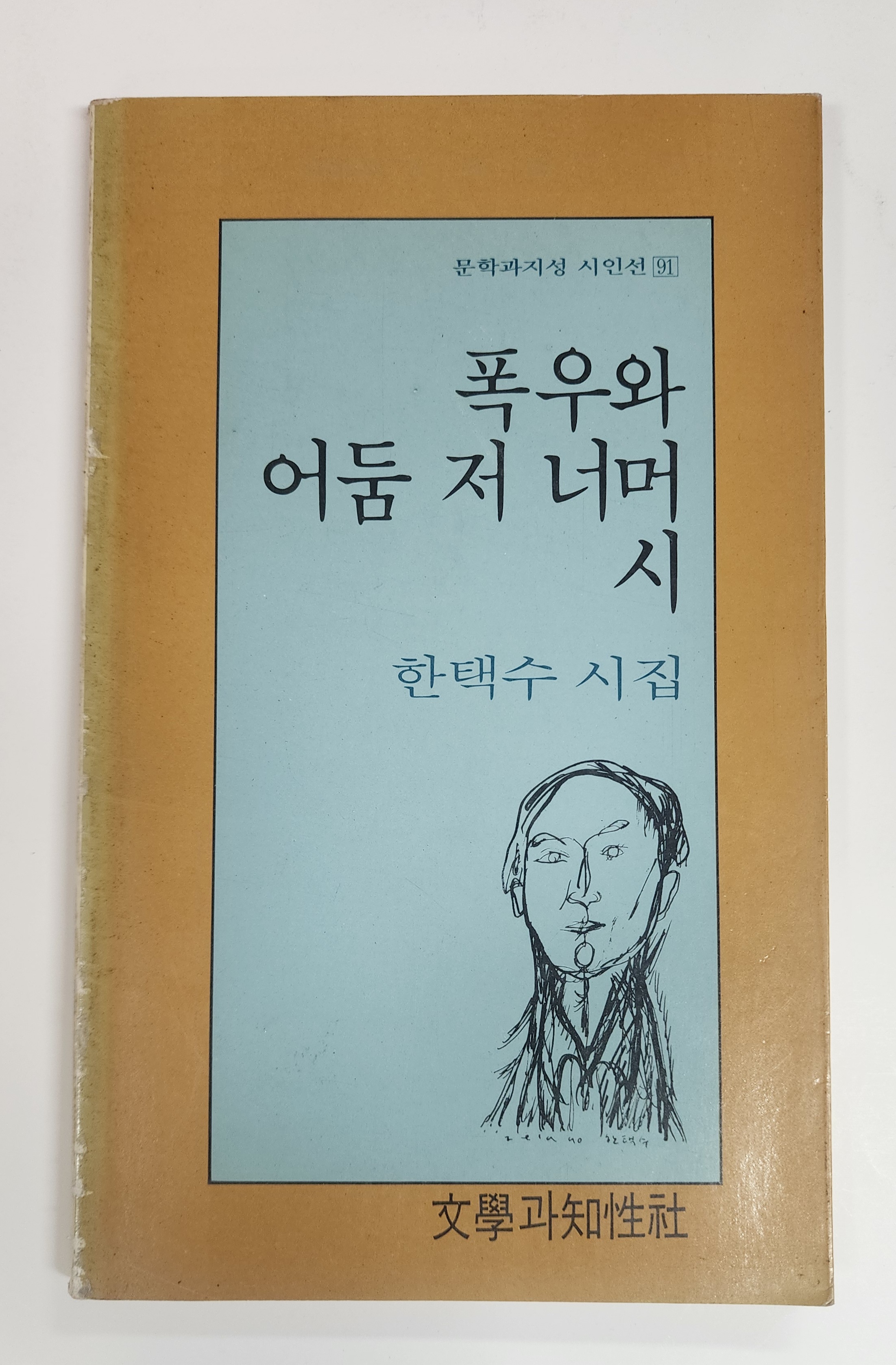 폭우와 어둠 저 너머 시(한택수 시집)