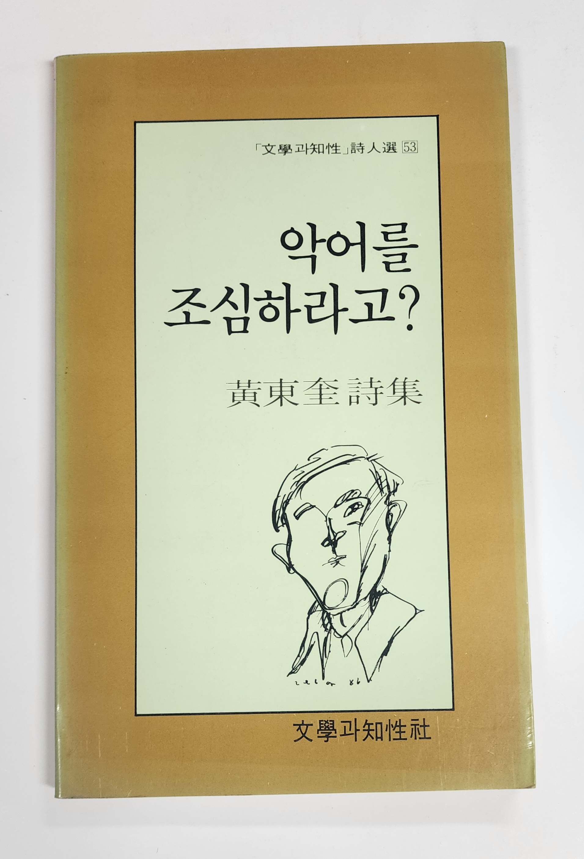 악어를 조심하라고?(황동규 시집)