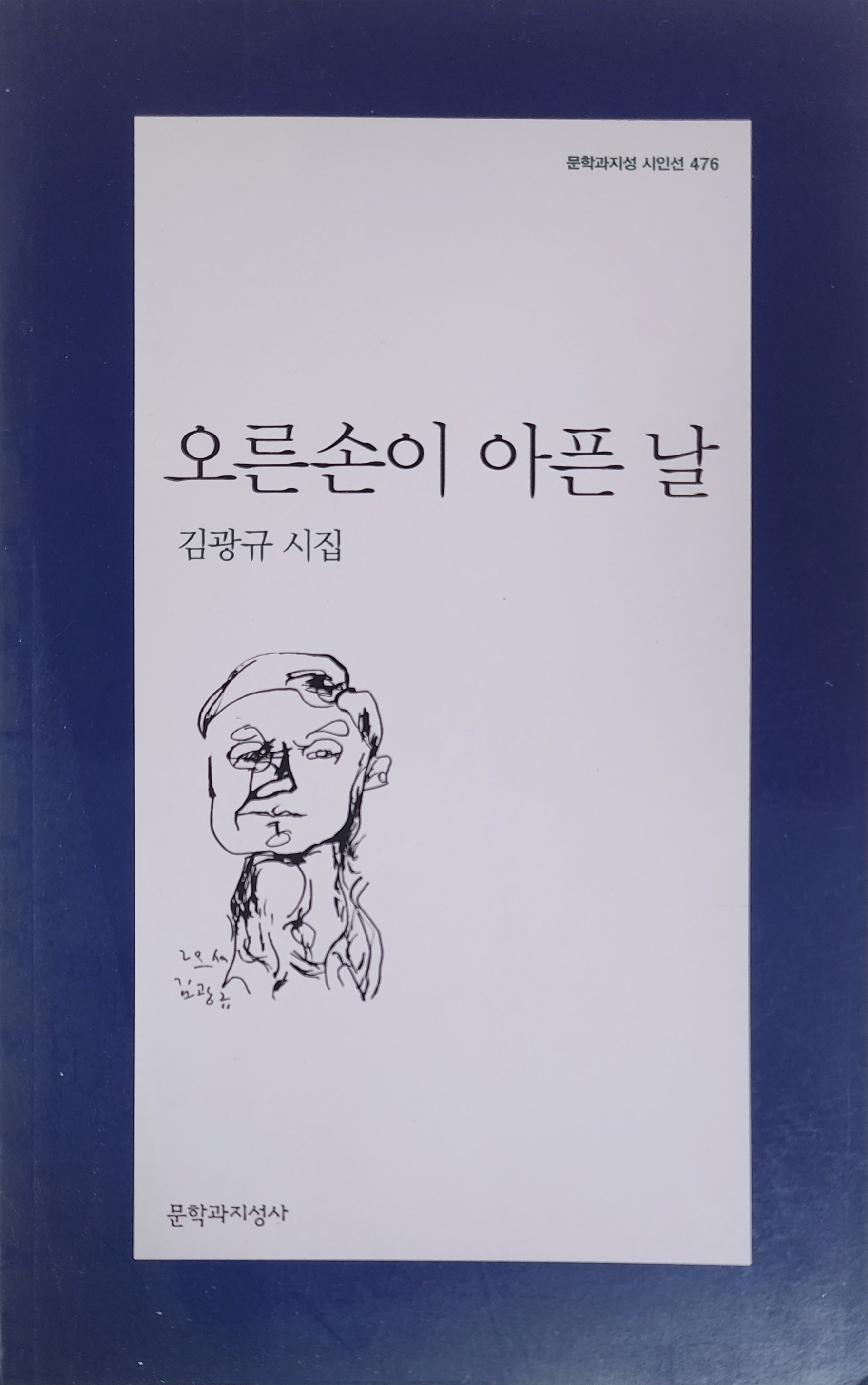 오른손이 아픈 날(김광규 시집)