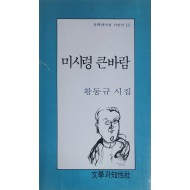 미시령 큰바람(황동규 시집)