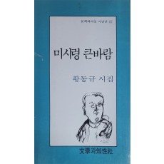 미시령 큰바람(황동규 시집)