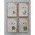 고우영 [삼국지- 5,7,8,10] 4책