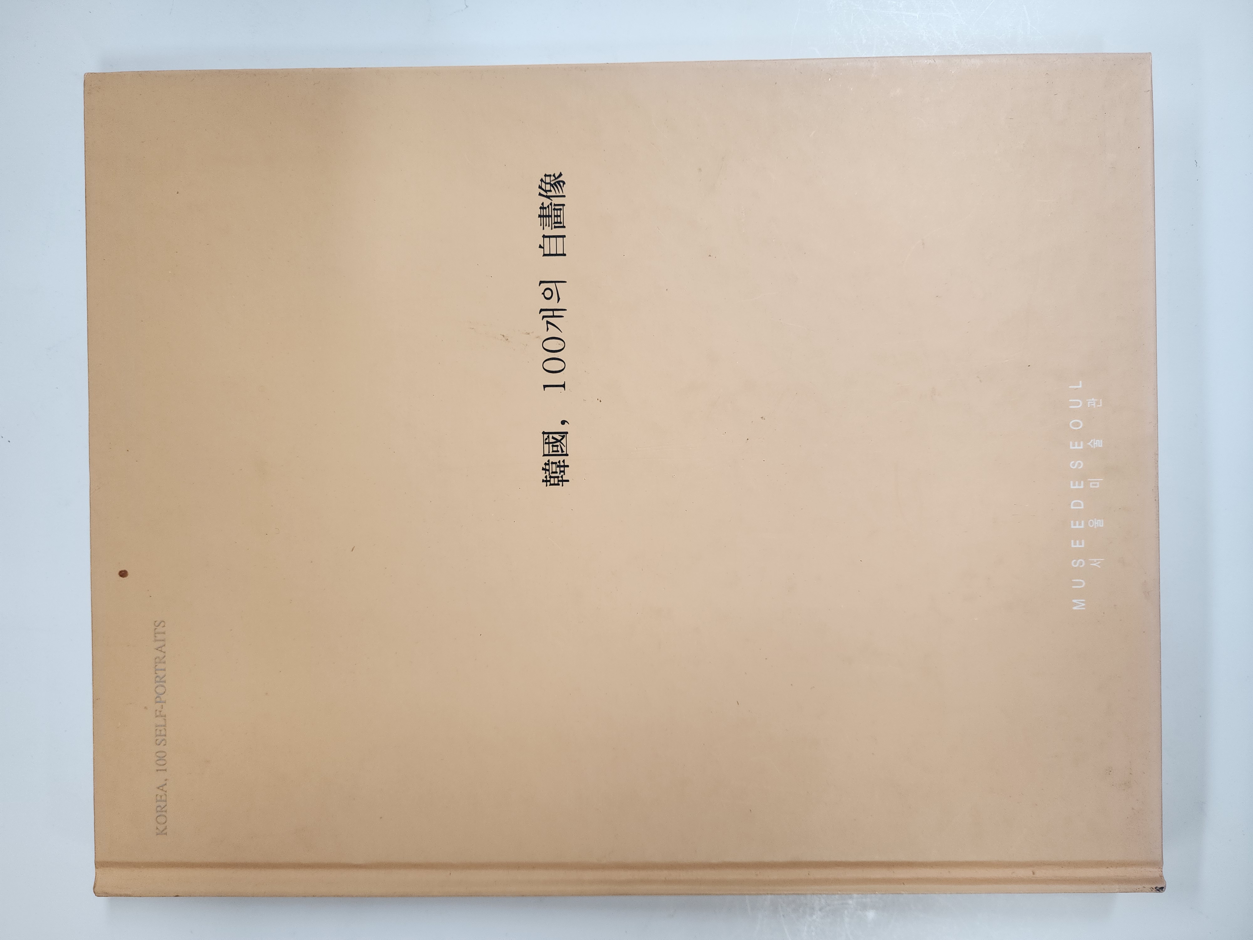 한국, 100개의 자화상