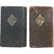 [28] [색채도판 전식물사전 色彩圖版全植物辭典] 2책