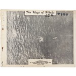 [42] 한국전쟁 중 고래와 잠수함 식별을 위한 [고래의 길 The Ways of Whales]