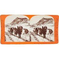 [42] 1900년대 스테레오 뷰 - 땔감 장사꾼 모습