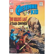 [46] 라이파이 김산호의 미국 서부극 데뷔작 [샤이엔 꼬마 Cheyenne kid]