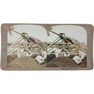 [12] 해조류 선별 작업 중인 사람들