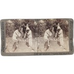 [70] 서울 근교의 곡물 찧는 사람들 - 스테레오 뷰