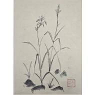 [68] 아사카와 노리타카(浅川伯教)