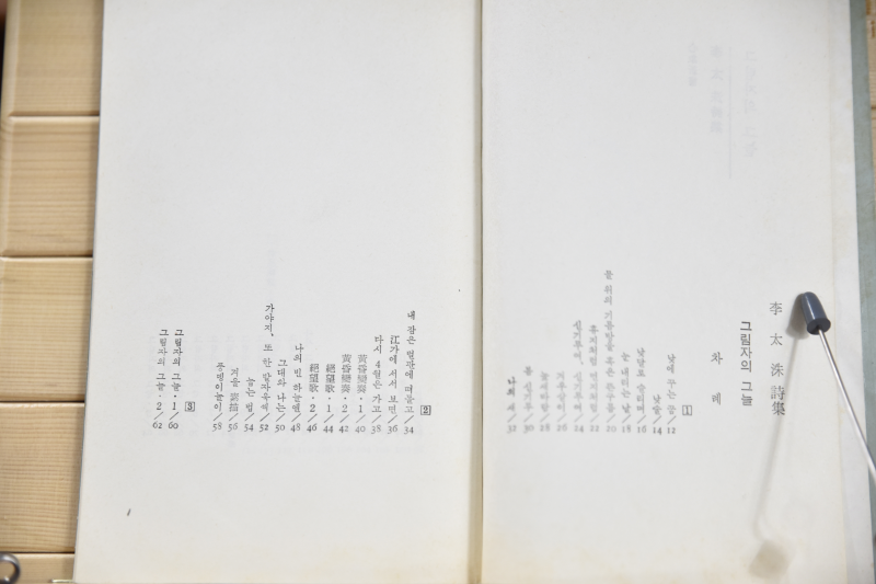 그림자의 그늘