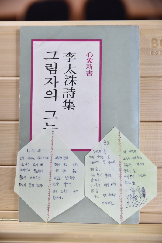 그림자의 그늘