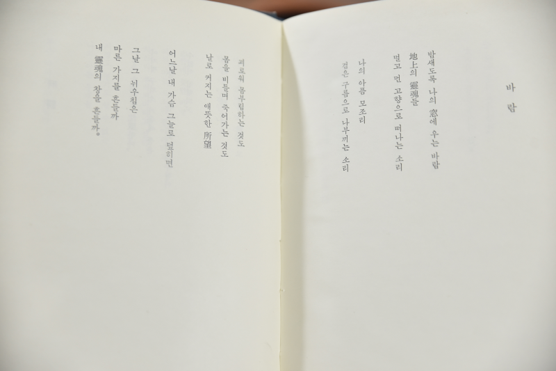 채색된 꿈의 대사