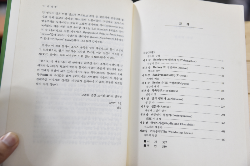 J.조이스 문학의 이해