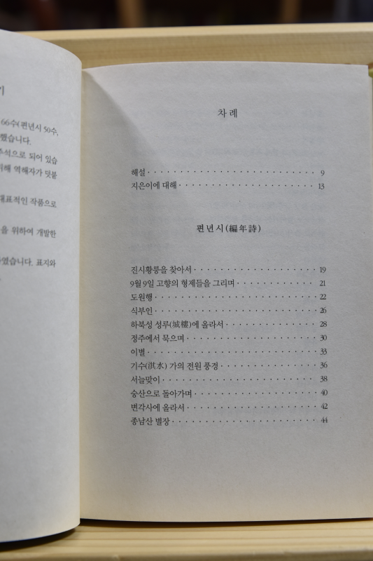 왕유 시선