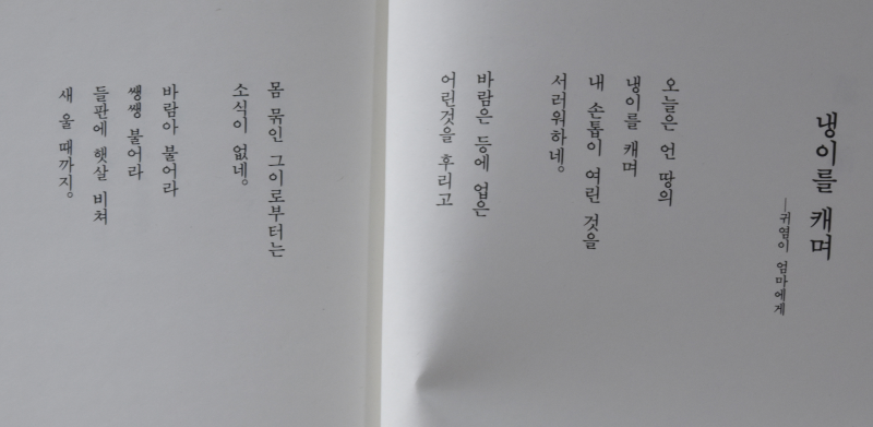 냉이를 캐며 (민영 시집)