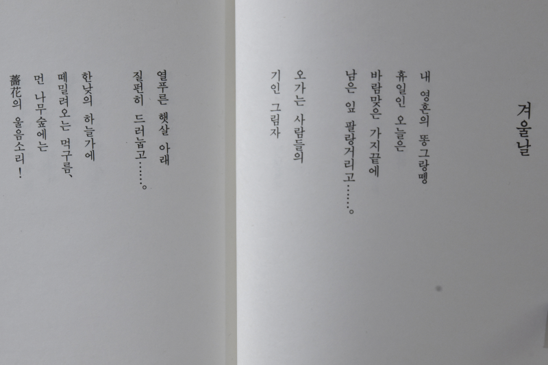 냉이를 캐며 (민영 시집)