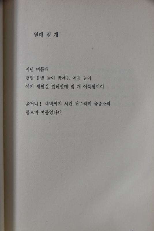아침이슬