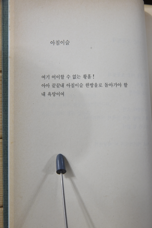 아침이슬