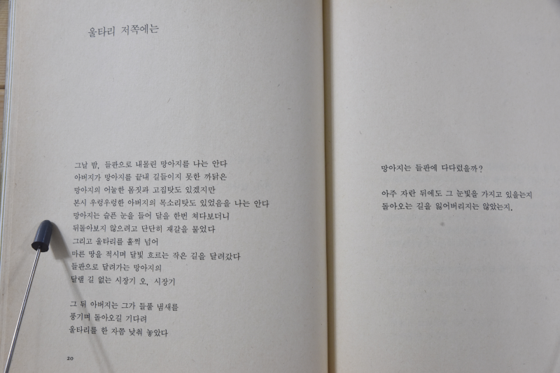 나무 위의 집 (백이운시집,초판)