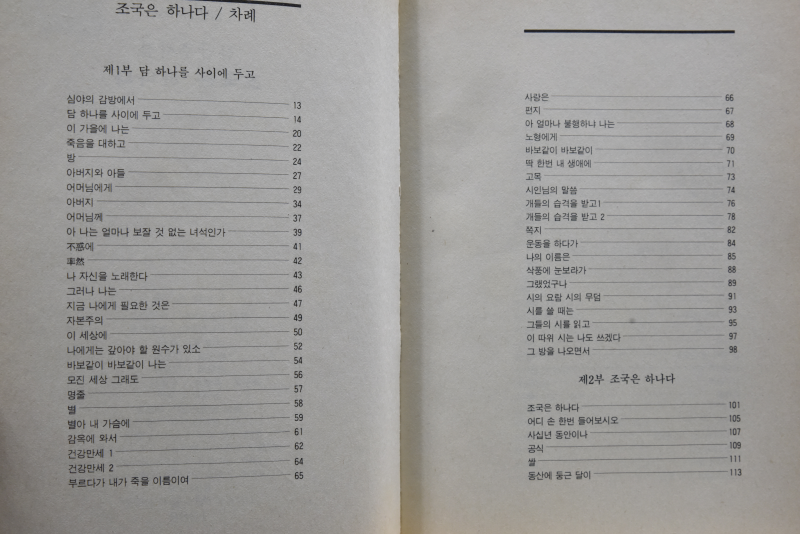 조국은 하나다