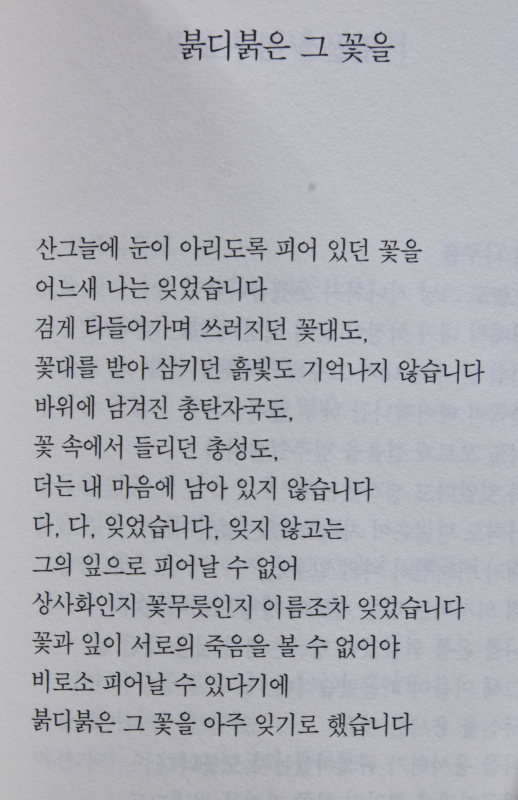 사라진 손바닥 나희덕시집,초판 저자증정본)