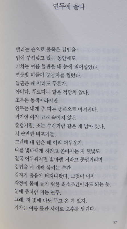 사라진 손바닥 나희덕시집,초판 저자증정본)