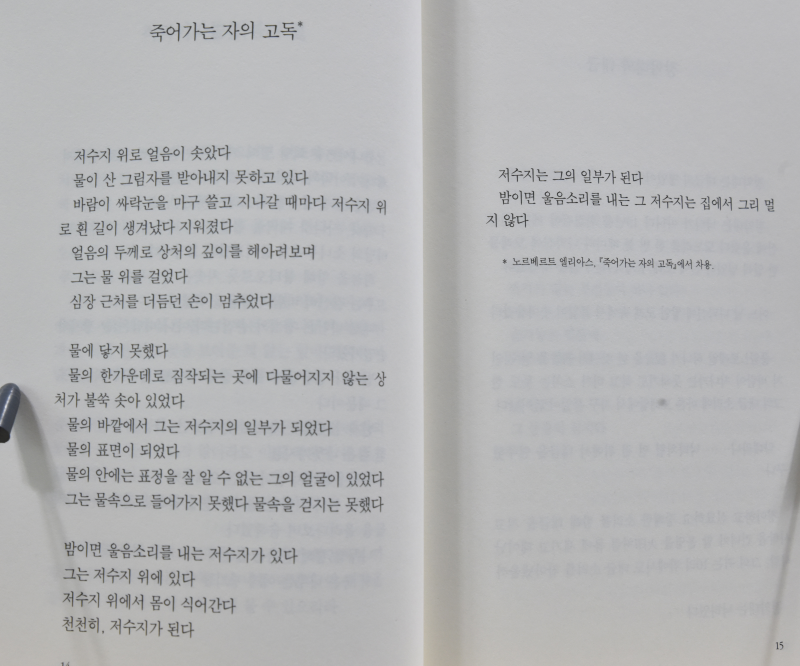 삼베옷을 입은 자화상