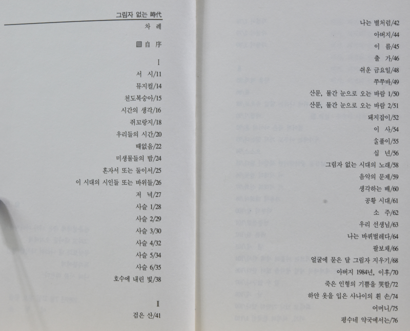 그림자 없는 시대