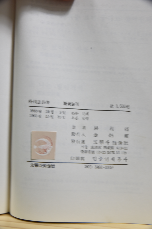 불꽃놀이