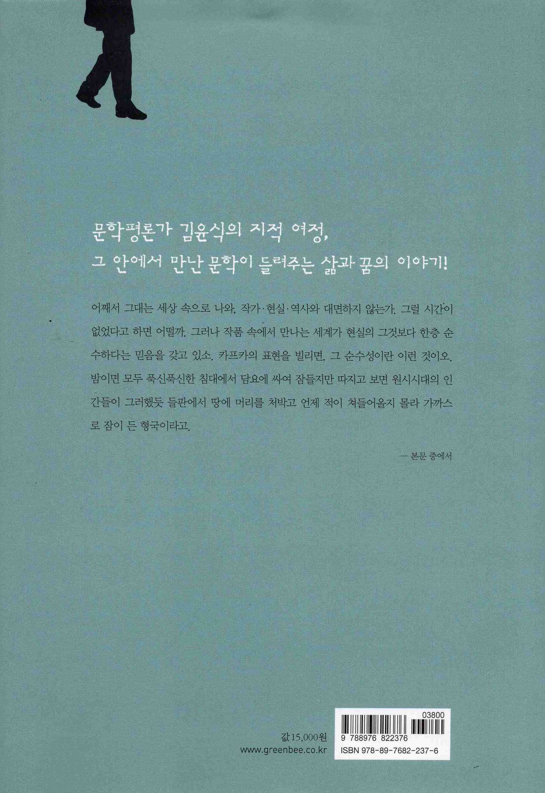 문학을 걷다 (김윤식이 만난 문학 이야기)