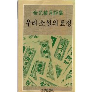 우리 소설의 표정 (김윤식 월평집)